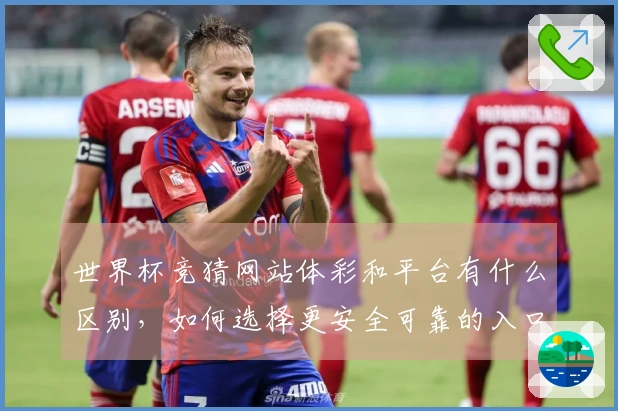 世界杯竞猜网站体彩和平台有什么区别，如何选择更安全可靠的入口