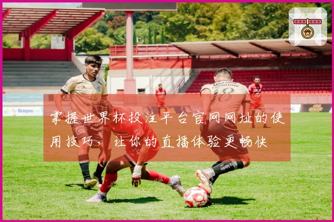 掌握世界杯投注平台官网网址的使用技巧,让你的直播体验更畅快