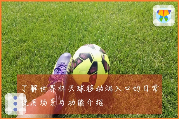 了解世界杯买球移动端入口的日常使用场景与功能介绍