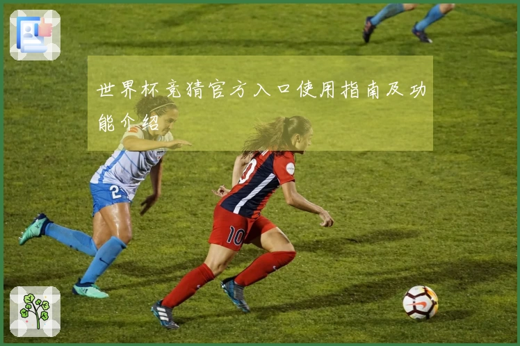 世界杯竞猜官方入口使用指南及功能介绍