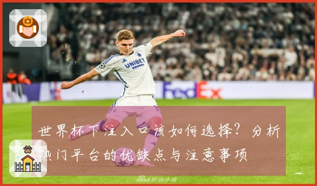 世界杯下注入口该如何选择？分析热门平台的优缺点与注意事项