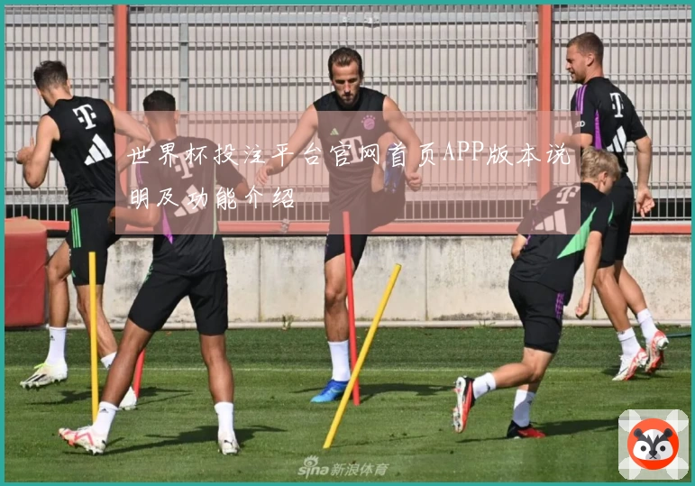 世界杯投注平台官网首页APP版本说明及功能介绍