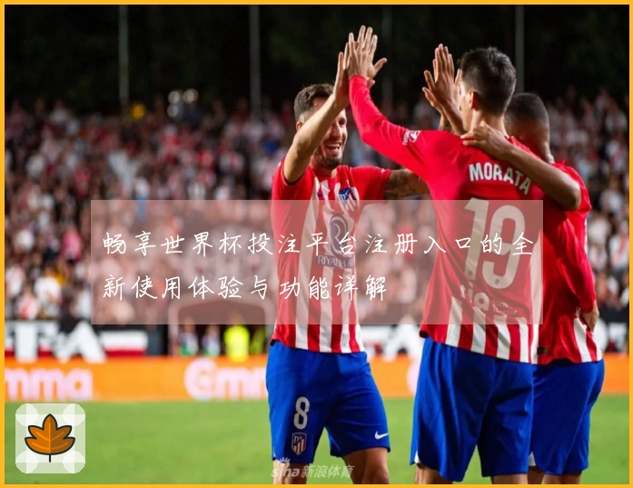 畅享世界杯投注平台注册入口的全新使用体验与功能详解