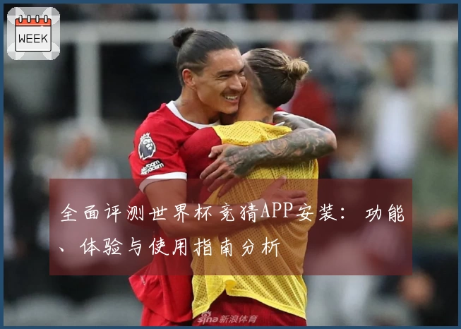 全面评测世界杯竞猜APP安装：功能、体验与使用指南分析