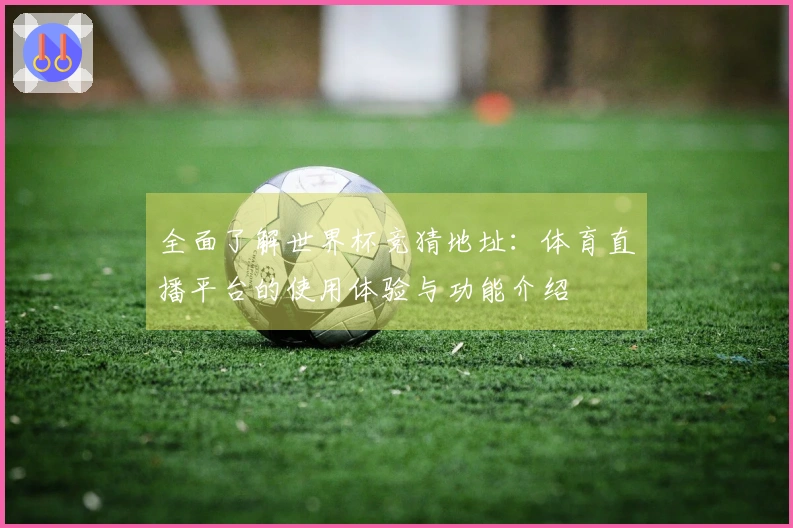 全面了解世界杯竞猜地址：体育直播平台的使用体验与功能介绍