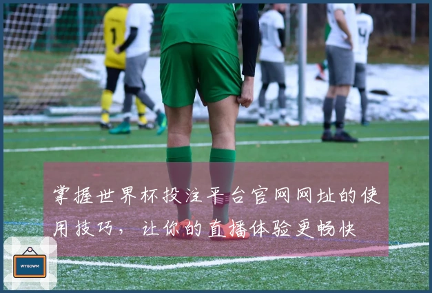 掌握世界杯投注平台官网网址的使用技巧，让你的直播体验更畅快