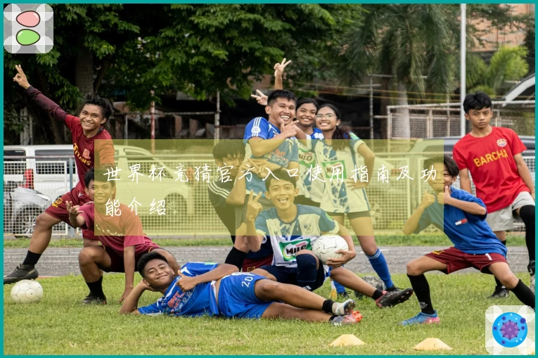 世界杯竞猜官方入口使用指南及功能介绍