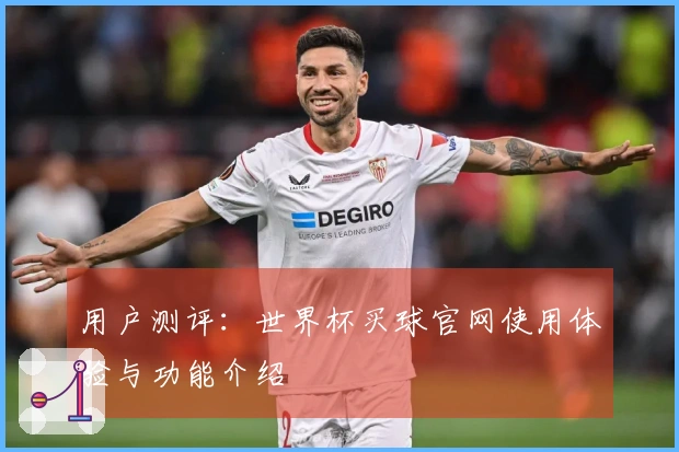 用户测评:世界杯买球官网使用体验与功能介绍