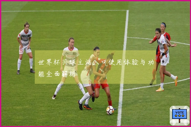 世界杯买球主站入口使用体验与功能全面解析