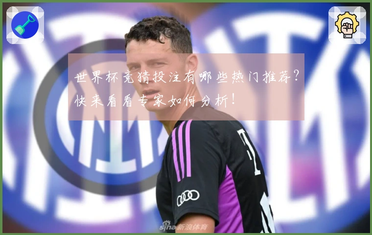 世界杯竞猜投注有哪些热门推荐？快来看看专家如何分析！