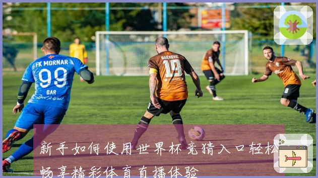 新手如何使用世界杯竞猜入口轻松畅享精彩体育直播体验