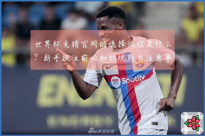 世界杯竞猜官网的选择流程是什么?新手投注前必知的规则与注意事项