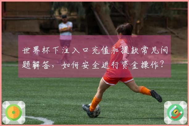 世界杯下注入口充值和提款常见问题解答,如何安全进行资金操作?